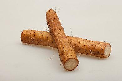 游乐园建造模拟《Parkitect》主机版预告 7月3日上线